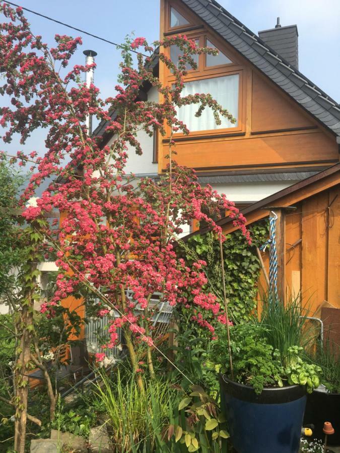 Ahle Uhl Apartment Honningen  Luaran gambar